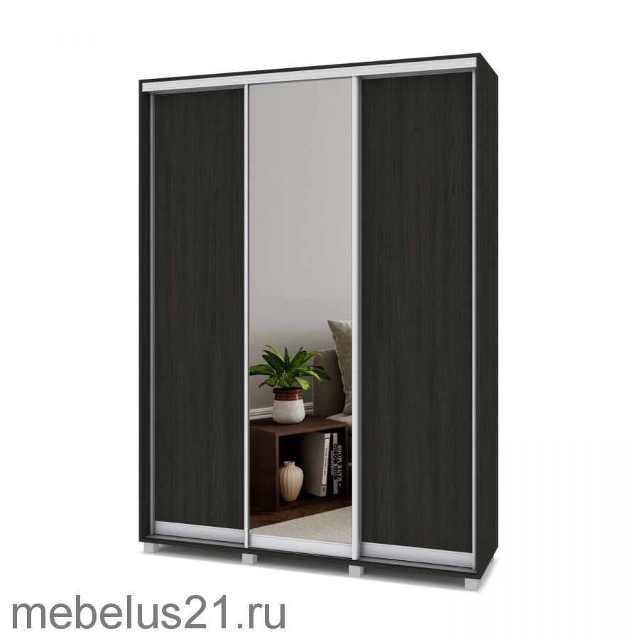 Шкаф купе с зеркалом Роланд 1,6 м