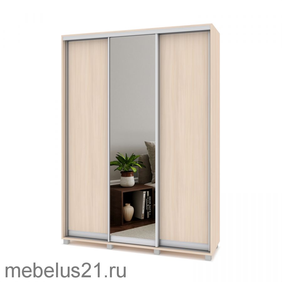 Шкаф купе с зеркалом Роланд 1,6 м