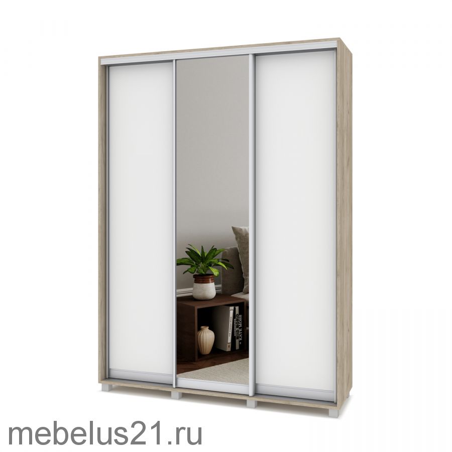 Шкаф купе с зеркалом Роланд 1,6 м