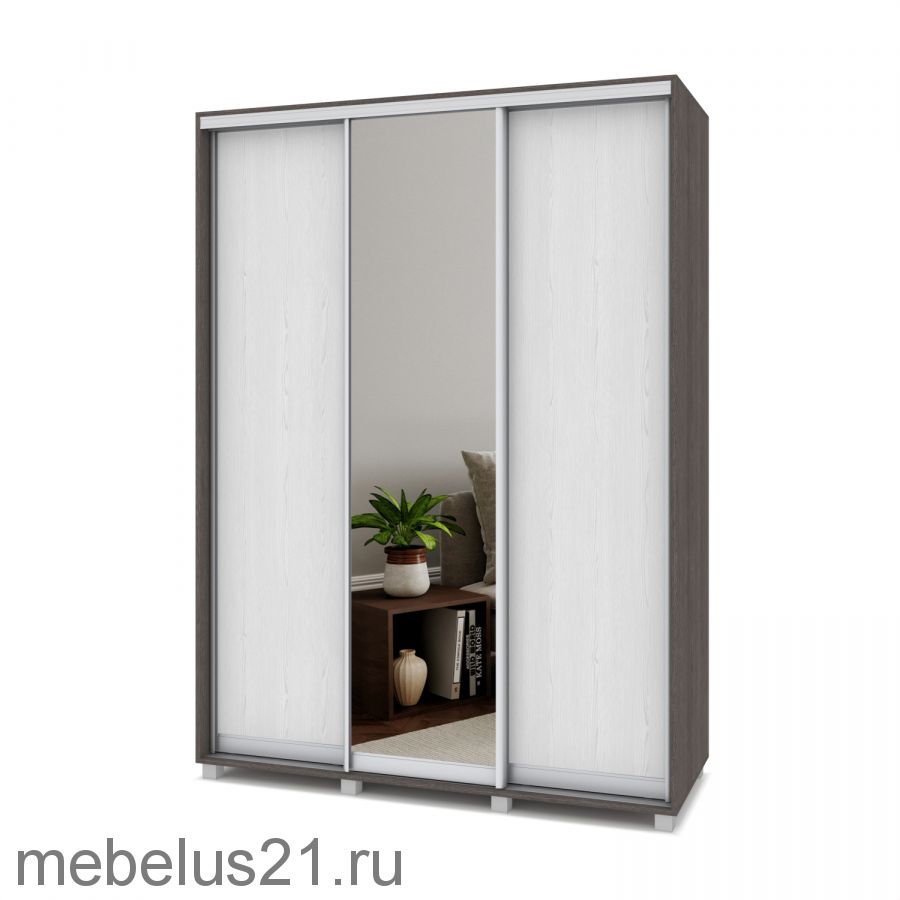 Шкаф купе с зеркалом Роланд 1,7 м