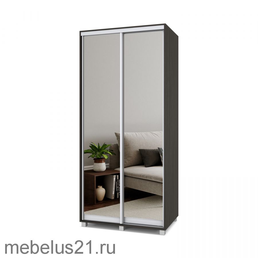 Шкаф купе с зеркалами Роланд 1 м