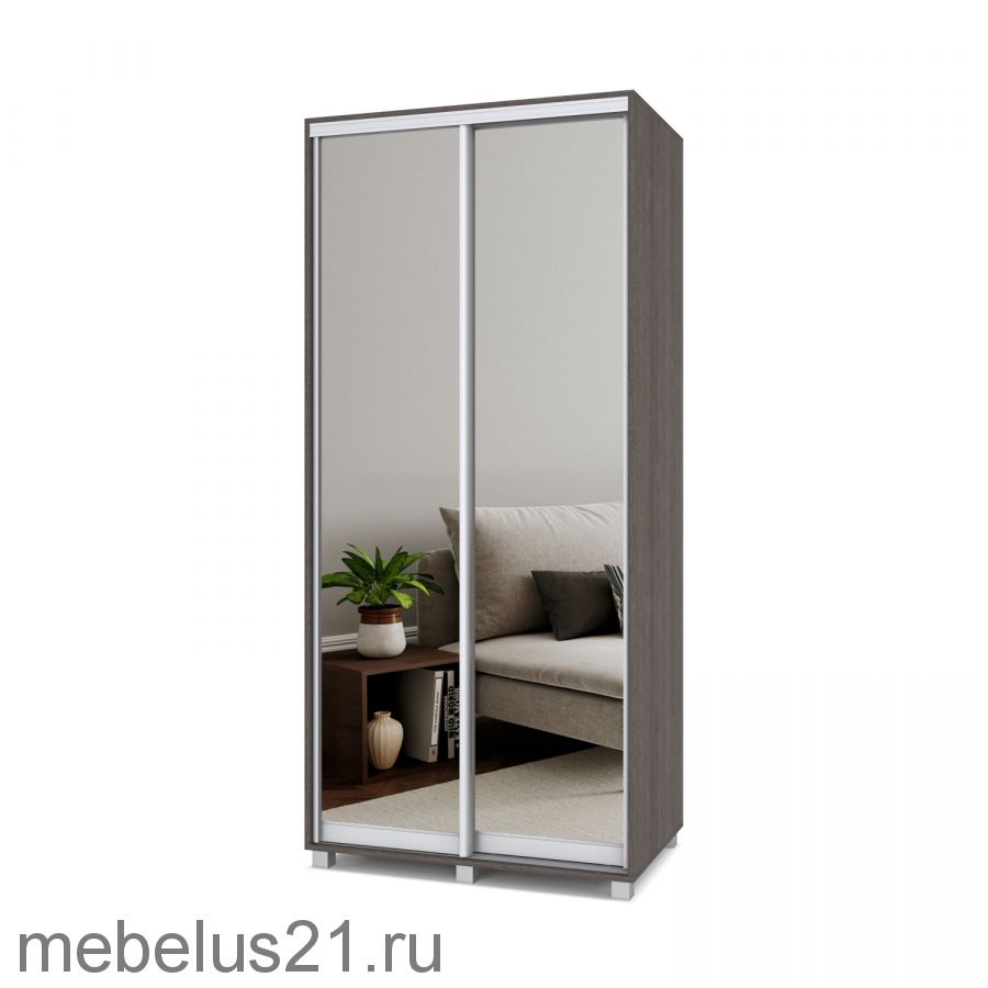 Шкаф купе с зеркалами Роланд 1,1 м