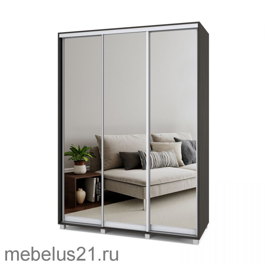 Шкаф купе с зеркалами Роланд 1,7 м