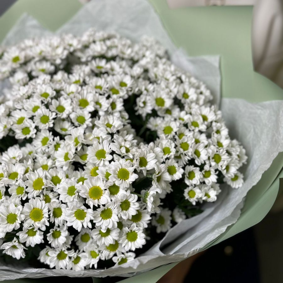 Монобукет из ромашек