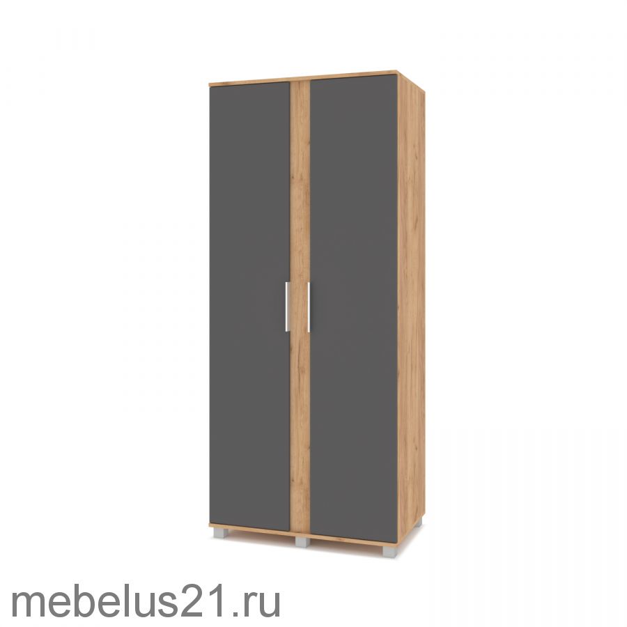 Шкаф 2-х створчатый Пандора П21