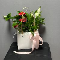 Композиция СЧАСТЬЕ