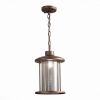 Светильник Уличный Подвесной ST-Luce SL080.403.01 Темный Кофе/Прозрачный, Темный Кофе E27 1*60W / СТ Люче.