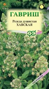 Резеда душистая Хавская (Гавриш)