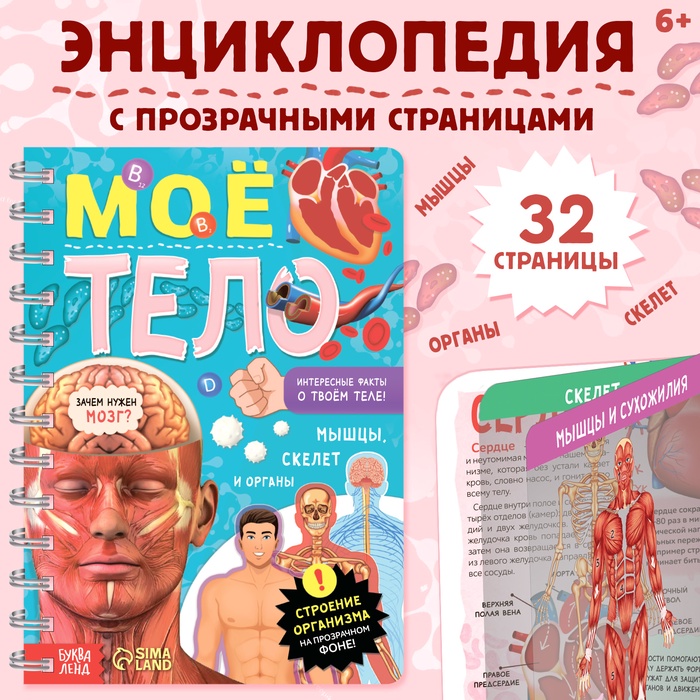 Энциклопедия с прозрачными страницами «Моё тело», 32 стр.