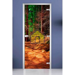 Стеклянная межкомнатная дверь с фотопечатью DW «Forest-17»