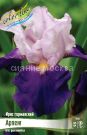 Iris-germanskij-Arpezh-ARPEGE-1-sht