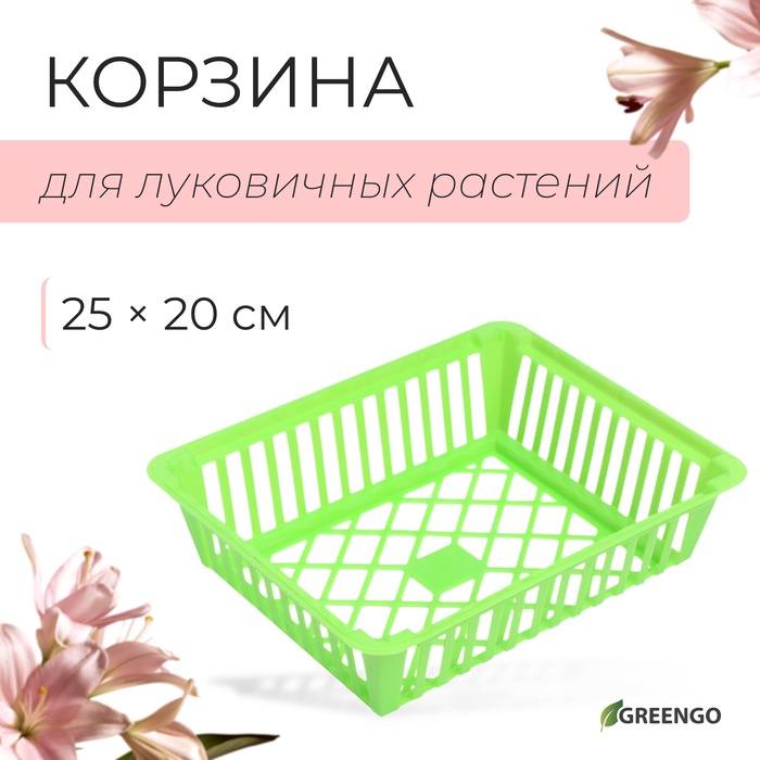 Корзина для луковичных, квадратная, 25 ? 20 см, зелёная, Greengo