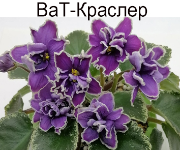 ВаТ-Крайслер (Валькова)