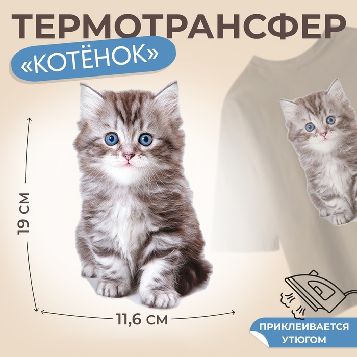 Термотрансфер «Котёнок», 11,6 ? 19 см, цена за 1 лист