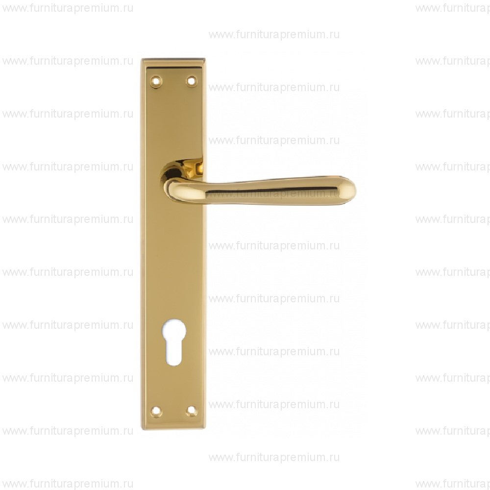 Ручка на планке Extreza Aldo 331 CYL PL13