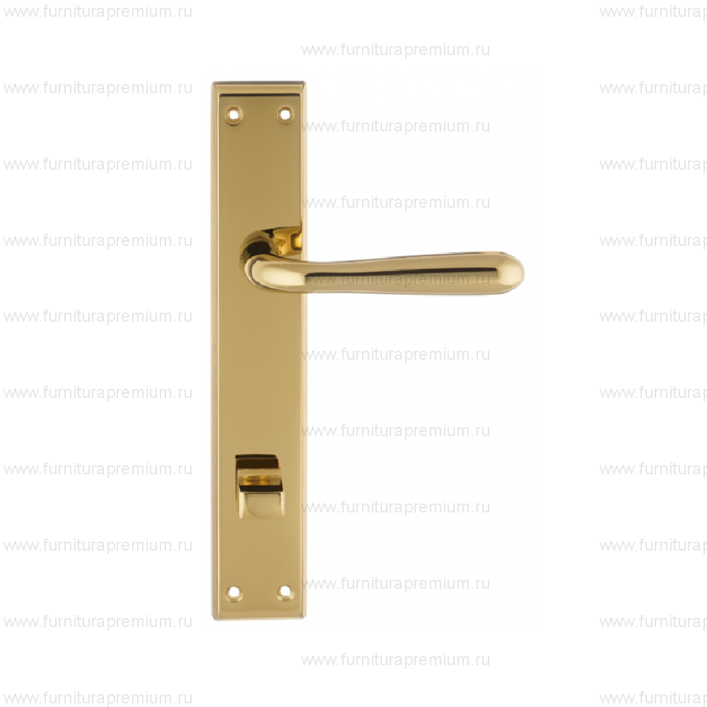 Ручка на планке Extreza Aldo 331 WC PL13