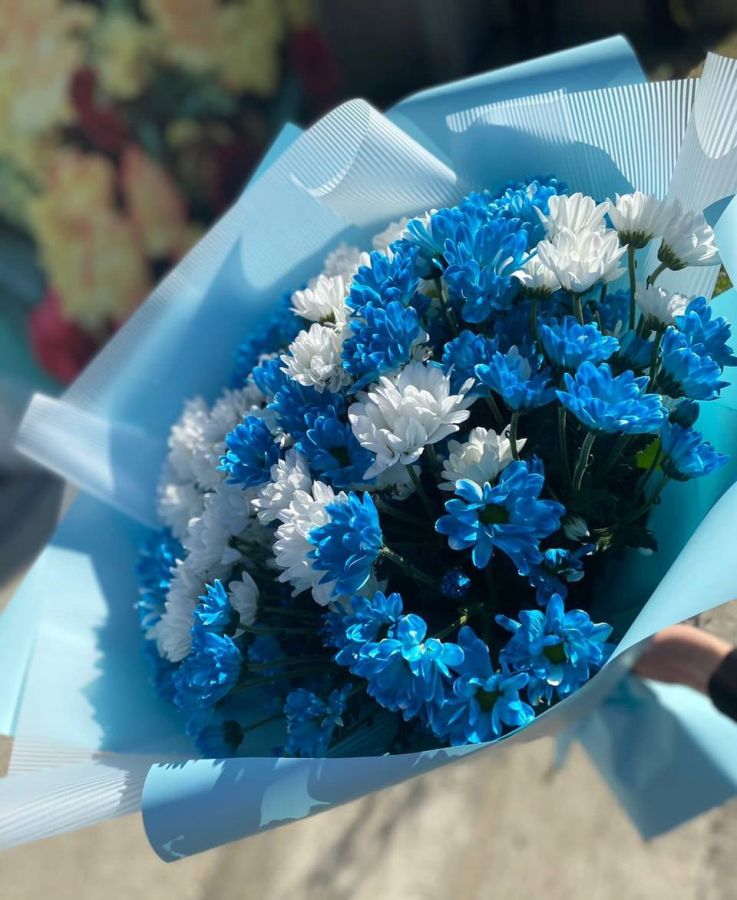 Голубой букет из 15 кустовых хризантем