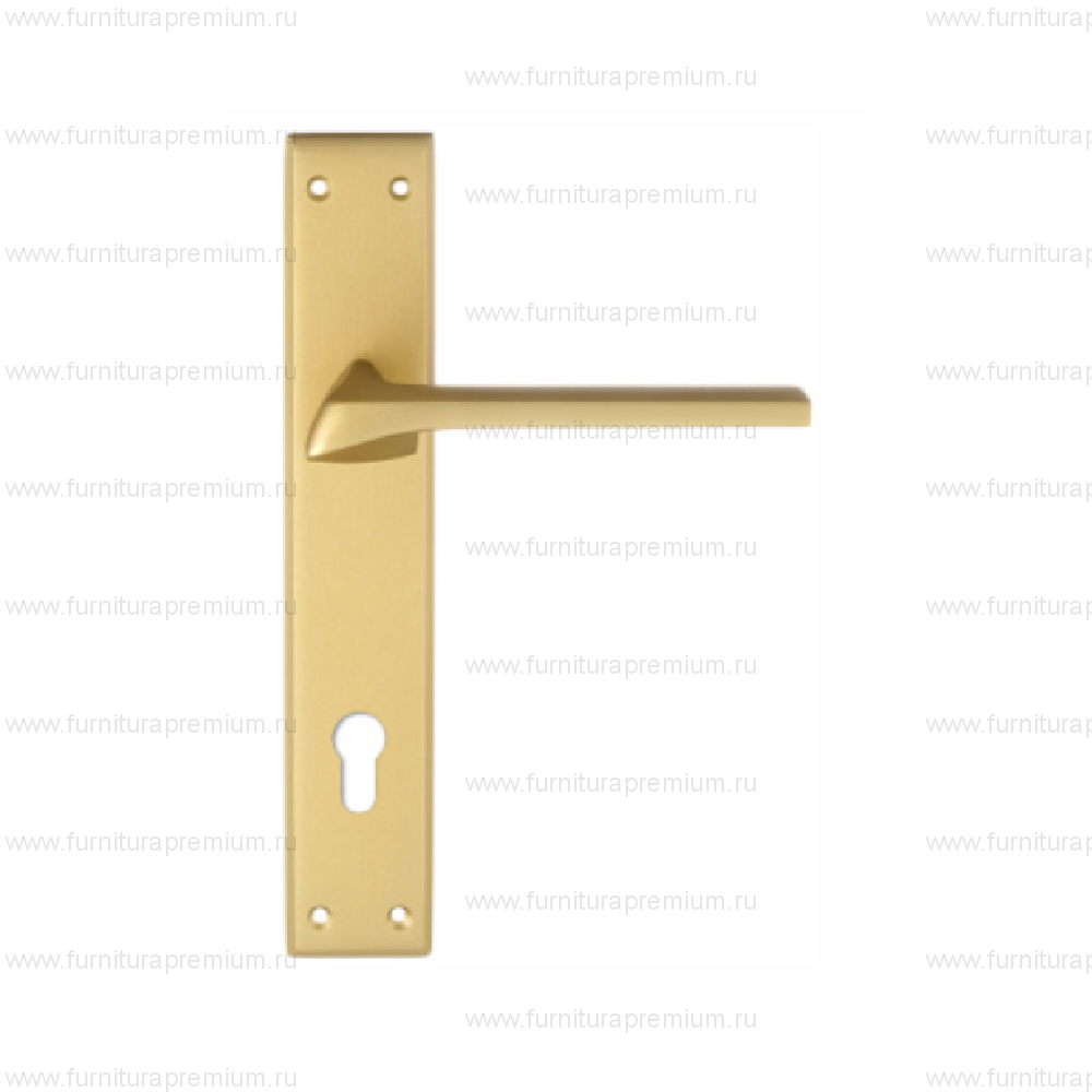 Ручка на планке Extreza Erica 119 CYL PL13