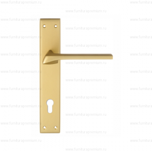 Ручка на планке Extreza Erica 119 CYL PL13