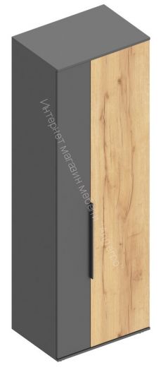 Шкаф 2-ств для одежды "Моника" Дуб золотистый/Тёмно серый