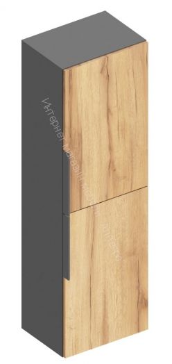 Пенал 2-ств "Моника" Дуб золотистый/Тёмно серый