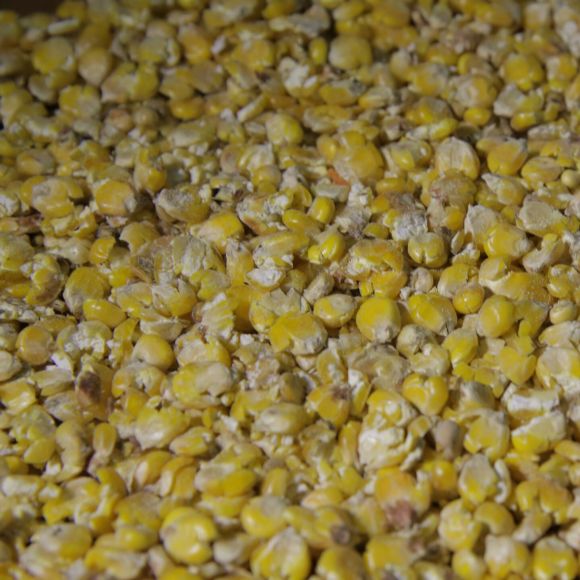 Микронизированная плющеная кукуруза 20 кг. Богатырские корма