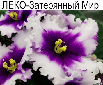 ЛЕКО-Затерянный Мир