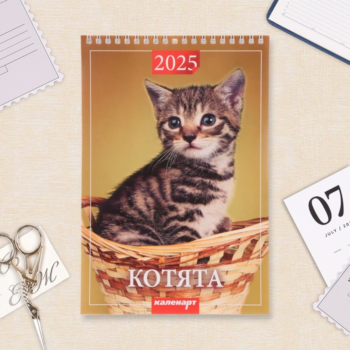 Календарь на пружине без ригеля "Котята" 2025 год, 17 х 25 см