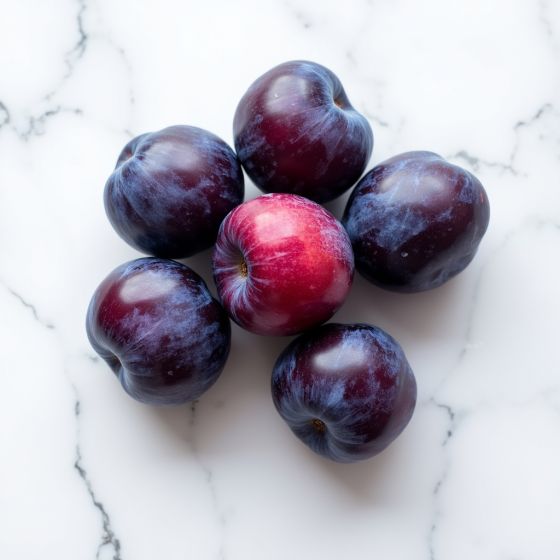 Слива чёрная