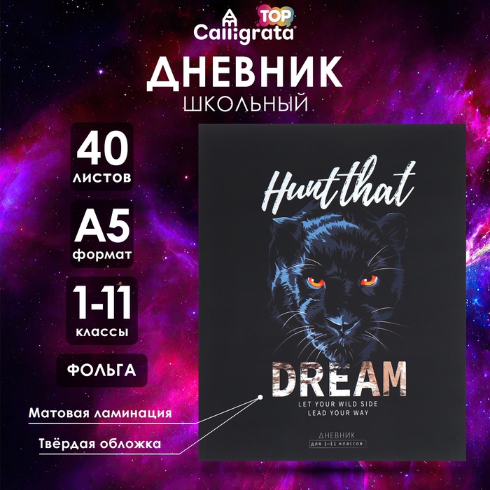 Дневник универсальный для 1-11 классов HUNT THAT DREAM, твёрдая обложка, матовая ламинация, фольгирование, 40 листов