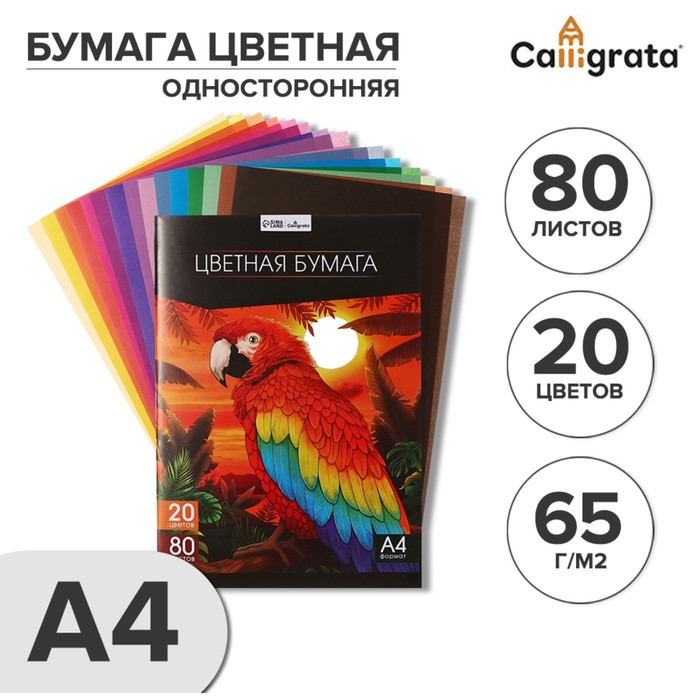 Бумага цветная А4, 80 листов, 20 цветов Calligrata TOP, офсет, в папке