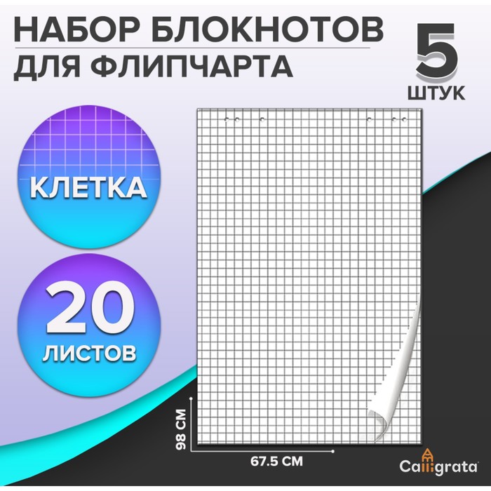 Набор блокнотов 5 штук для флипчарта, 67,5 х 98 см, 20 листов в клетку, 92%, 80 г/м2, Calligrata