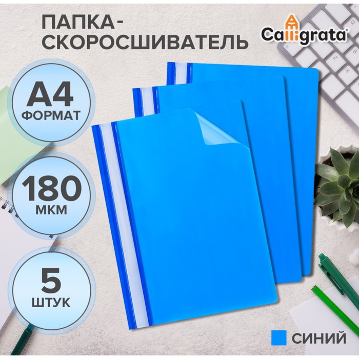 Набор папок-скоросшивателей А4, 5 штук, Calligrata, 180 мкм, с прозрачным верхом, синий