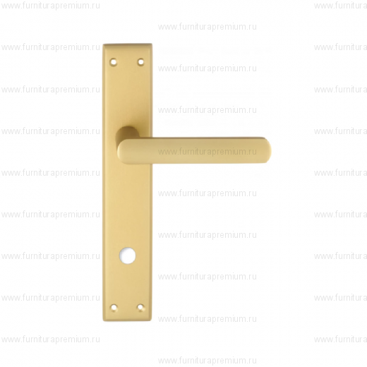 Ручка на планке Extreza Hi-Tech Aqua 113 WC PL13