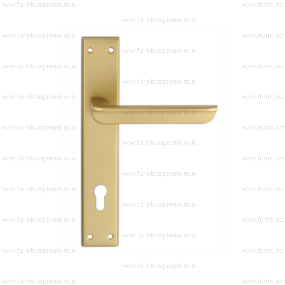 Ручка на планке Extreza Hi-Tech Fossa 136 CYL PL13