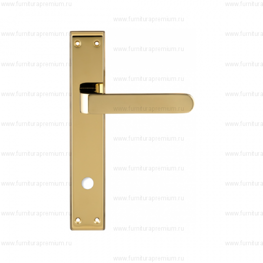 Ручка на планке Extreza Hi-Tech Rubi 121 WC PL13