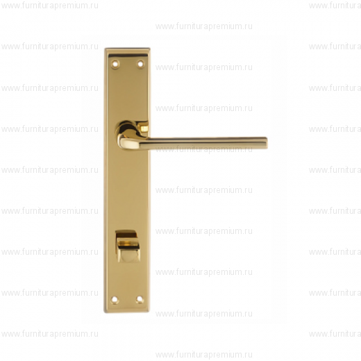 Ручка на планке Extreza Terni 320 WC PL13