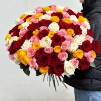 Яркий микс из 101 розы Эквадор в ленте. Красная, белая и желтая.