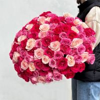 101 Розовый микс роз Эквадор в ленте.