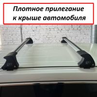 Багажник на крышу Nissan Elgrand III (E52), 2010-2020, ED Tana, с замком, серебристые крыловидные дуги