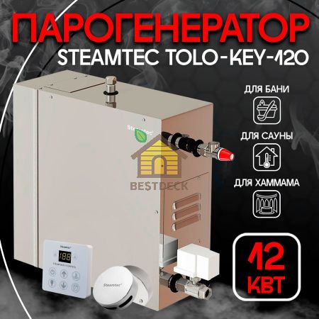 Steamtec TOLO KEY 120 - 12 кВт парогенератор бюджетная серия