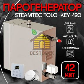 Steamtec TOLO KEY 120 - 12 кВт парогенератор бюджетная серия