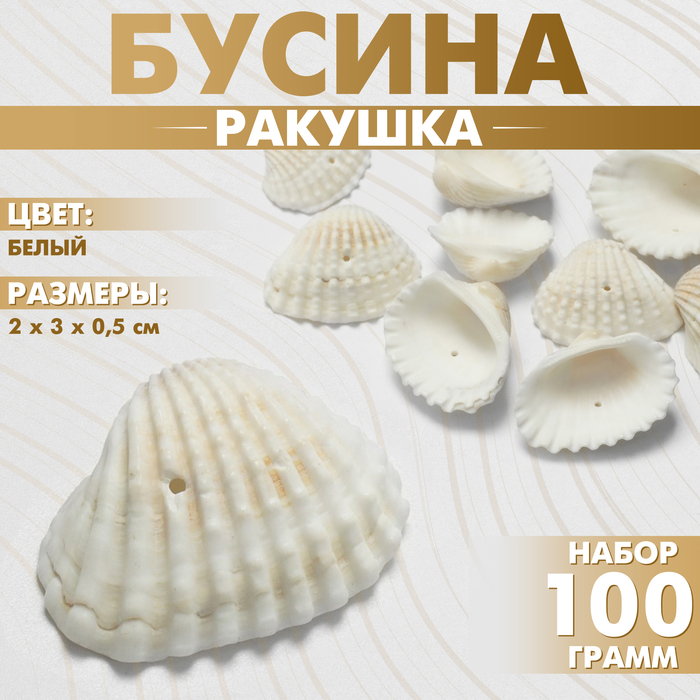 Бусины для творчества «Ракушка», 3?2 см, половинка, набор 100 г, белые