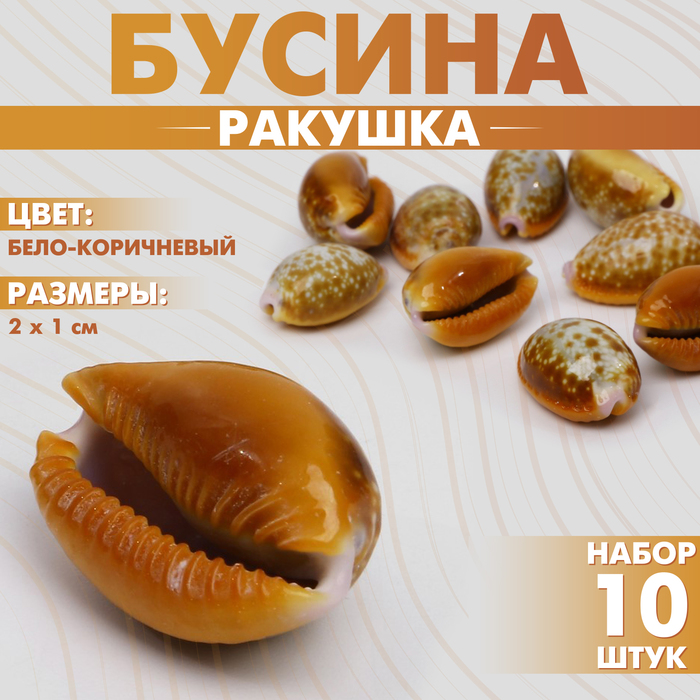 Бусины для творчества «Ракушка», 2?1 см, гладкая. набор 10 шт, цвет бело-коричневый