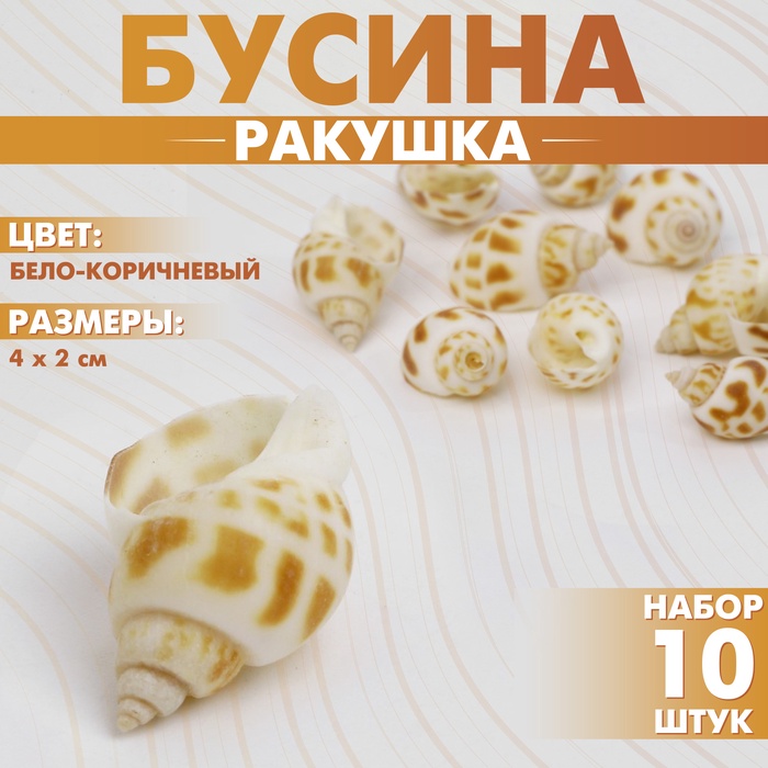 Бусины для творчества «Ракушка», рельефная, 4?2 см, набор 10 шт, цвет бело-коричневый