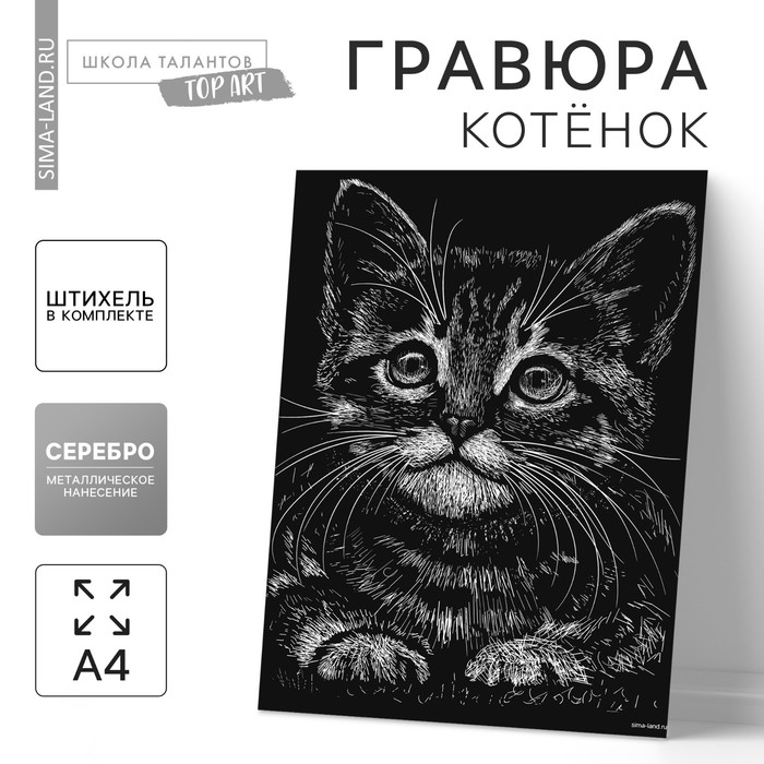 Гравюра «Котёнок» с металлическим эффектом «серебро» А4