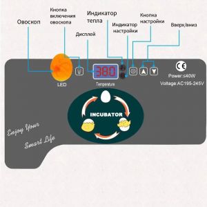 Инкубатор HHD EW9-12 на 12 яиц, автоматический переворот