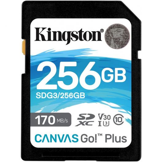 Карта памяти 256Gb SD Kingston Canvas Go! Plus (SDG3/256GB)