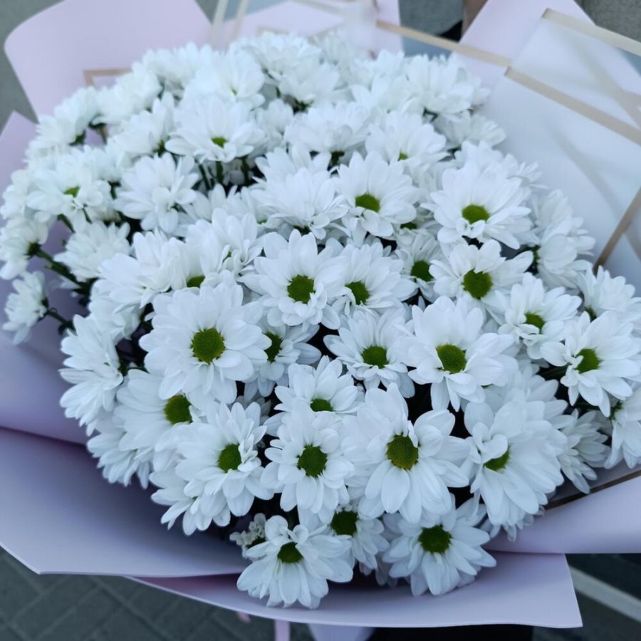 Букет гигант ромашек