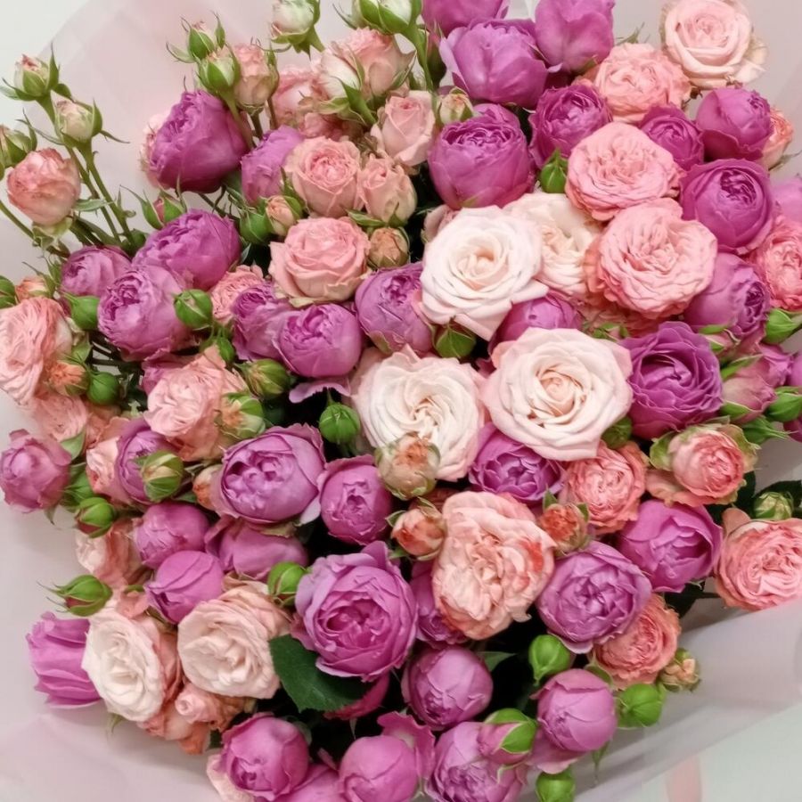 Мега букет из кустовой пионовидной розы Мисти баблз